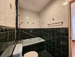 St. Martins Apartment (D10), Apartment #553177401